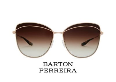 Vision In Focus - Barton Perreira