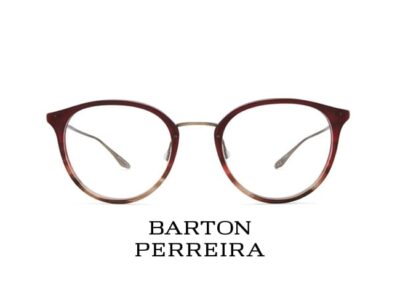 Vision In Focus - Barton Perreira